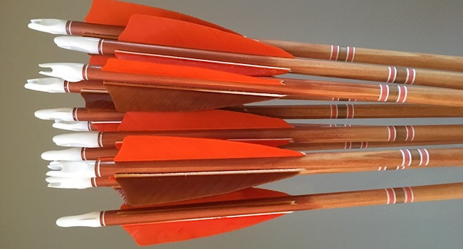55-60lb, 31” light matched arrows