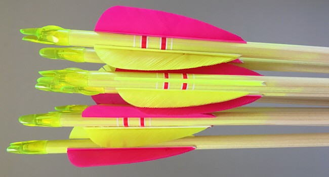 Bargain flourescent crested arrows