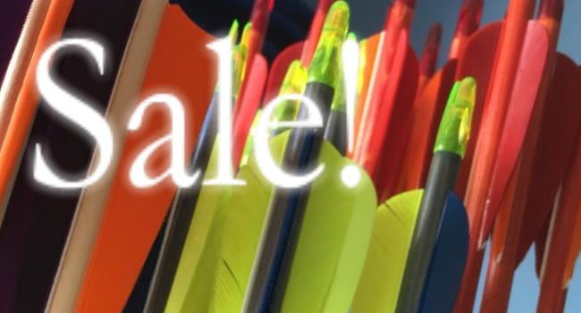 Sale arrows going cheap